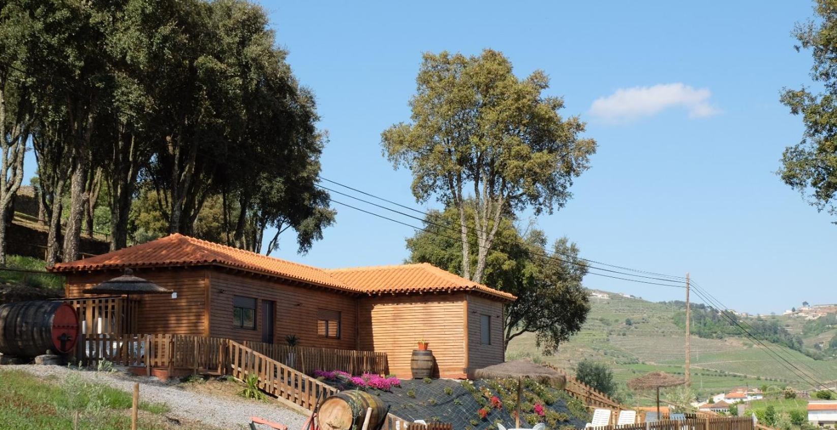 Quinta Da Bandeira - Casa De Ferias No Douro Villa Martir Exterior foto